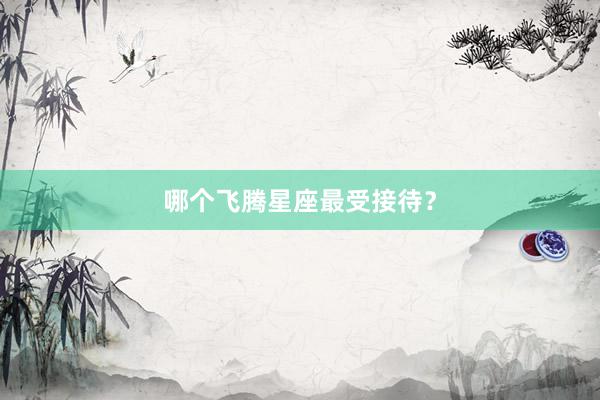 哪个飞腾星座最受接待？