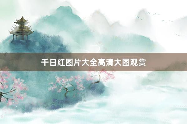 千日红图片大全高清大图观赏