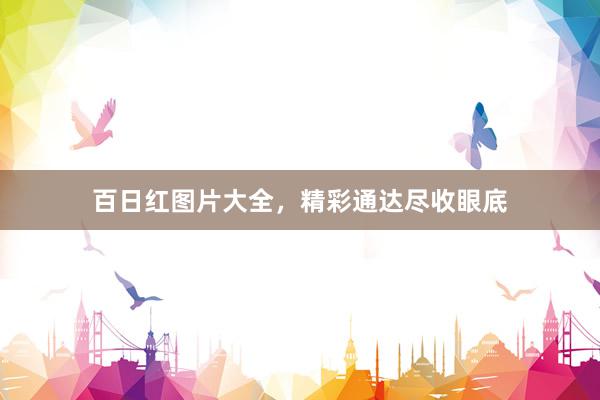 百日红图片大全，精彩通达尽收眼底