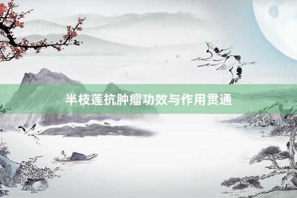 半枝莲抗肿瘤功效与作用贯通